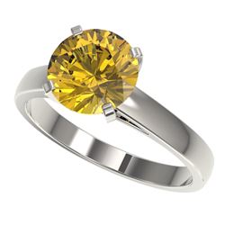 2.50 CTW Certified Intense Yellow SI Diamond Solitaire Ring 10K White Gold - REF-579R2K - 33047