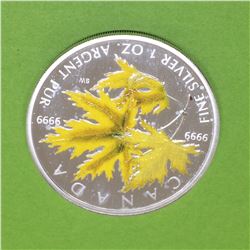 2006 Canada Silver Maple leaf Coloured Coin-Silver Maple