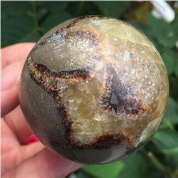 Turtle Stone Sphere 45mm with Stand