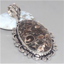 Turritella Fossil Agate Pendant