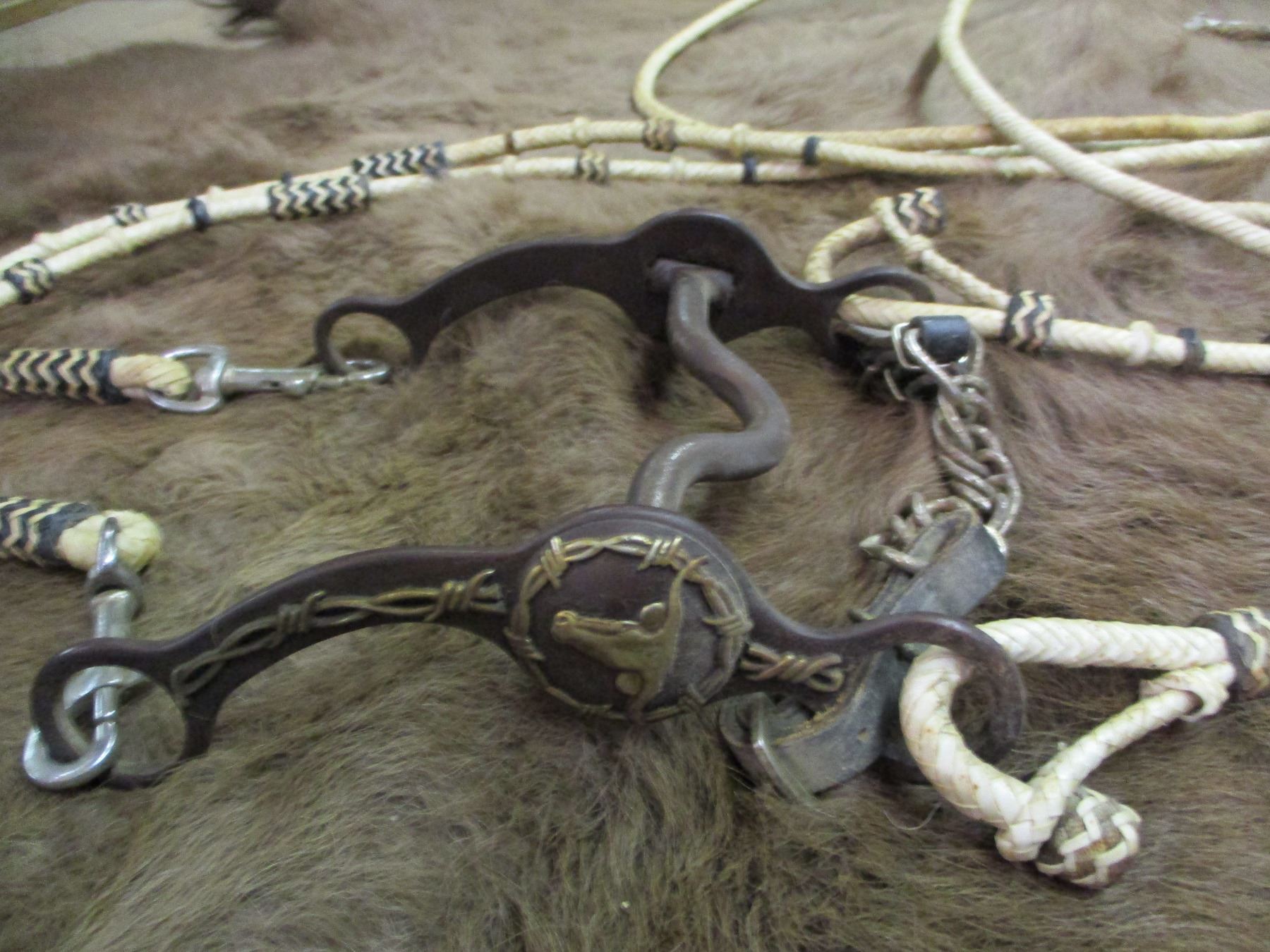 Vintage Braided Rawhide Bridal and Bit