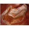 Image 4 : Vintage Risistol Western Cowboy Hat