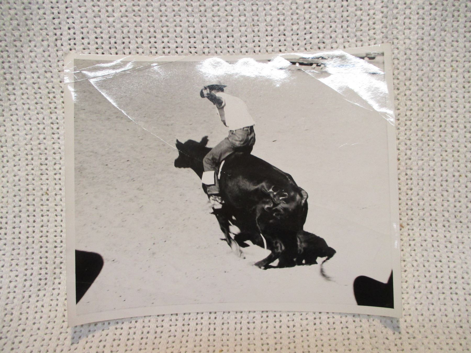 Vintage Rodeo Print Bull Riding