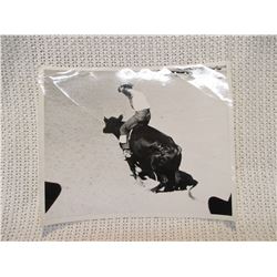 Vintage Rodeo Print Bull Riding