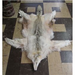 Tanned Canadian Wolf Pelt