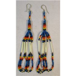 Native American Beaded and Quilled Earrings