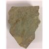Image 1 : DINOSAUR BONE FOSSIL VERTEBRAE SLAB