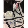 Image 4 : SUPERBOWL XLIII PITTSBURGH STEELERS AUTOGRAPHED FLAG