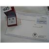 Image 1 : 18KT WHITE GOLD EARRINGS WITH APPRAISEL $900.00