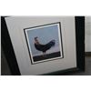 Image 2 : PRINT BY GARY PATTERSON AND CHICKEN PRINT BY WARREN KIMBLE