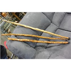 THREE WALKING STICKS