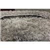 Image 2 : 5X7 SHAG CARPET