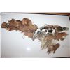 Image 2 : ON SCENT GERMAN SHORTHAIRS BY MORTEN SOLBERG 23706