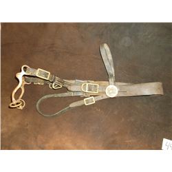 Old Headstall With Military Conchos- Cavalry S Shank Curb Bit