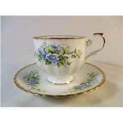 Rosina England Cup and Saucer