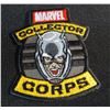 Image 1 : Marvel Collector Corps Ant-Man Patch