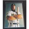 Image 1 : 1993 Upper Deck Iooss Collection #WI3 Mark McGwire