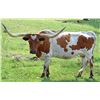Image 1 : EOT OUTBACK STACY