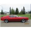 Image 8 : 1973 FORD MUSTANG MACH I 351 COBRA JET