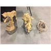 Image 1 : ANIMAL SCULPTURES INCLUDING RATTLE SNAKE TAXIDERMY