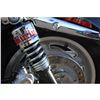 Image 3 : 2009 HARLEY DAVIDSON SPORTSTER ONLY 385KM