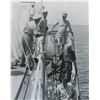 Image 6 : Dwight D. Eisenhower