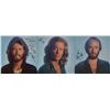 Image 1 : Bee Gees