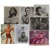 Image 1 : Tarzan