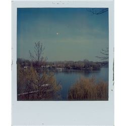 Prince Group of (3) Polaroids