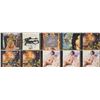 Image 1 : Prince Promotional Music Collection