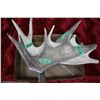 Image 1 : 3 Antlers
