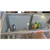 Image 2 : Glass Display Case
