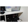 Image 2 : Snappers Clothing Merchandise: Various Styles, Colors, Sizes