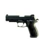 Image 1 : SIG SAUER P220 .22LR SEMI-AUTO*THIS IS A RESTRICTED FIREARM*