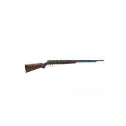 REMINGTON 550 .22LR SEMI-AUTO