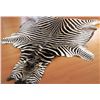 Image 1 : Hartmann's Mountain Zebra Rug