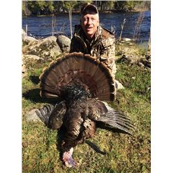 Eastern Turkey hunt for 3 Hunters in Southern Ontario