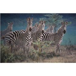 SC 2018 Conservation Artist Of The Year Framed Print