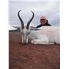 Image 2 : 5 Day Springbok slam for 3 Hunters in South Africa