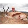 Image 3 : 5 Day Springbok slam for 3 Hunters in South Africa