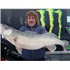 Image 3 : 2 day Manitoba Walleye Hunt with Todd Longley and his Ice Ridge Reaper for 4 .