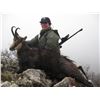 Image 2 : Carpathian or Balkan CHAMOIS HUNT in SERBIA for 2 Hunters