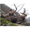 Image 3 : Carpathian or Balkan CHAMOIS HUNT in SERBIA for 2 Hunters