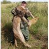Image 2 : 7 DAY BIG GAME HUNT for 2 in ARGENTINA