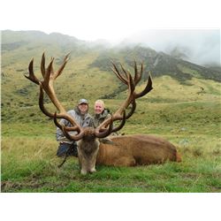 Five Day 1x1 Reg Stag Hunt in New Zealand