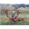 Image 3 : Five Day 1x1 Reg Stag Hunt in New Zealand