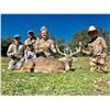 Image 4 : 3 DAY, 2 NIGHT TEXAS WHITETAIL HUNT FOR 2