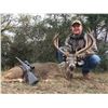 Image 5 : 3 DAY, 2 NIGHT TEXAS WHITETAIL HUNT FOR 2