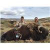 Image 2 : 3 Day Musk Ox for 1 in Greenland