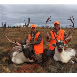 7 Day Resident Caribou Hunt in the 2018 or 2019 season for 2 hunters at The Lodge At Little Duck